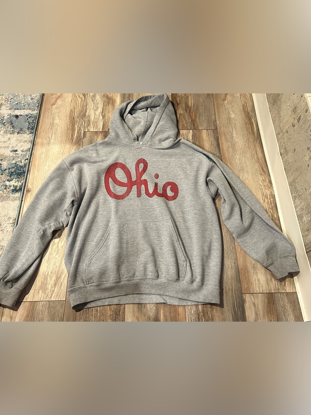 Gildan Heavy Blend Hooded Sweatshirt Ohio Graphic Hoodie Gray